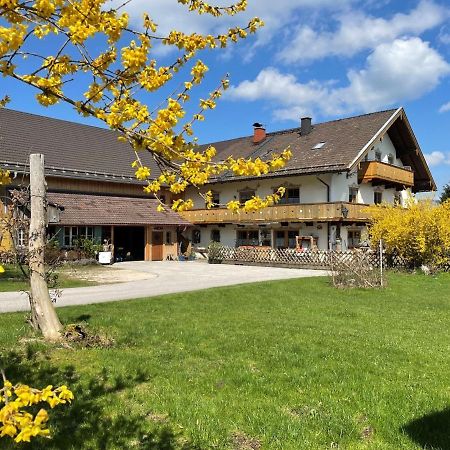 Ferienwohnungen Dopplerhof Piding Esterno foto